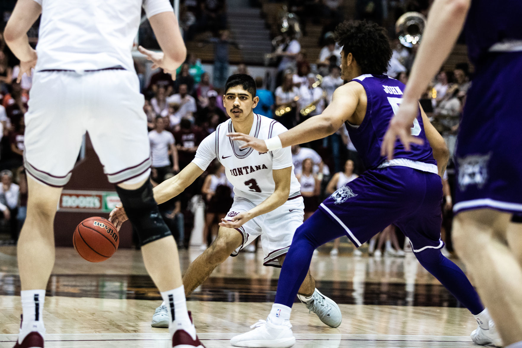 Griz v. Weber 2